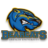 Brescia University
